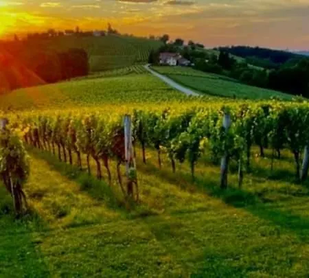 Farm stay Turisticna Kmetija Puklavec Zasavci