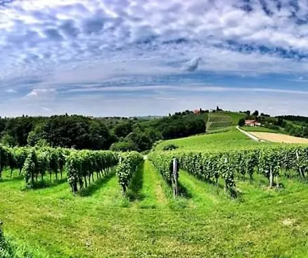 Turisticna Kmetija Puklavec Farm stay