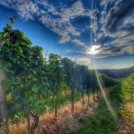 Turisticna Kmetija Puklavec Zasavci