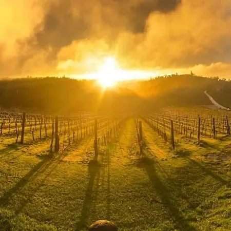 Farm stay Turisticna Kmetija Puklavec