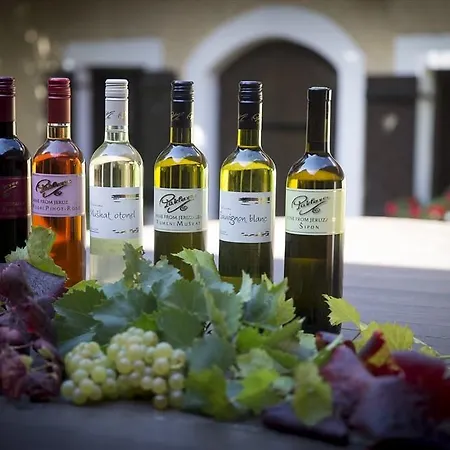 Turisticna Kmetija Puklavec Farm stay *