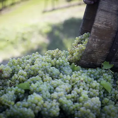 Farm stay Turisticna Kmetija Puklavec Zasavci