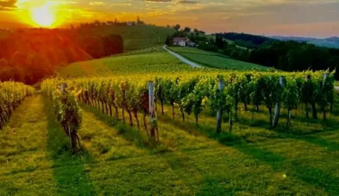 Bauernhof Turisticna Kmetija Puklavec Zasavci