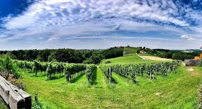 Turisticna Kmetija Puklavec Bauernhof