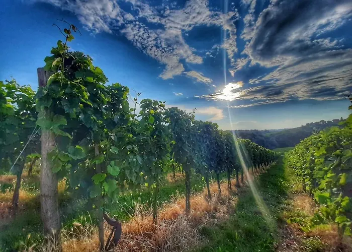 Turisticna Kmetija Puklavec Zasavci