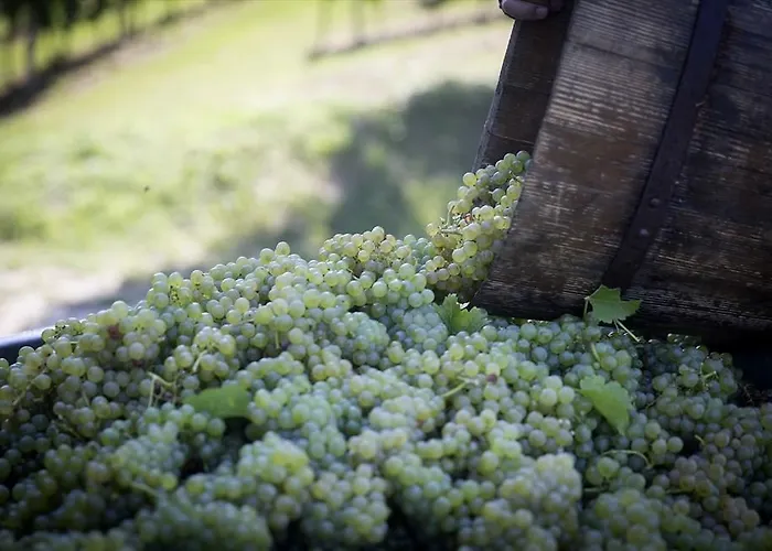 Bauernhof Turisticna Kmetija Puklavec Zasavci